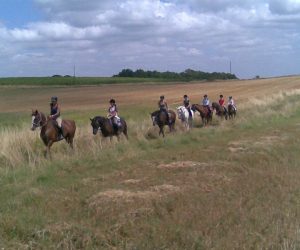 promenade_cheval